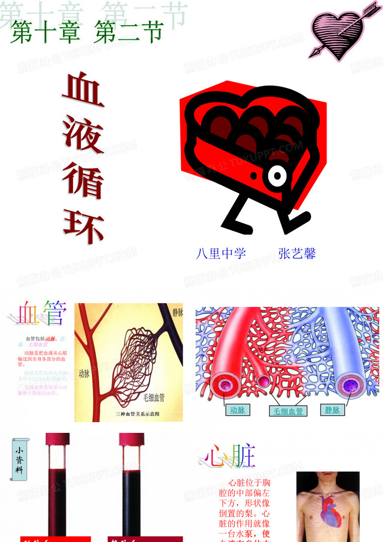血液循环