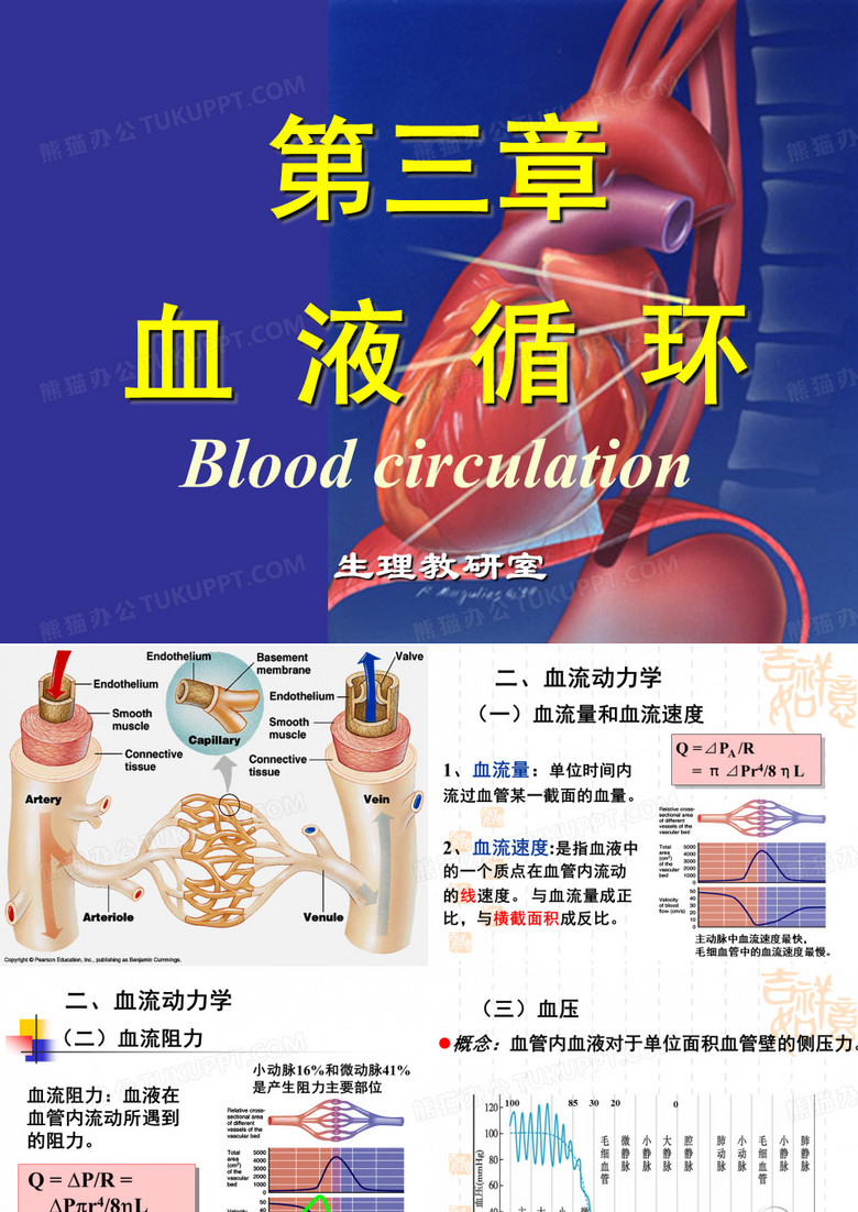 血液循环 