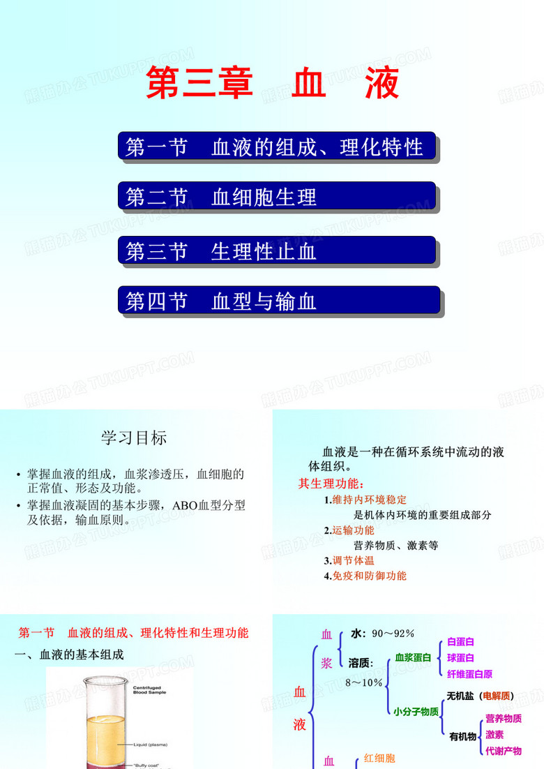 血液循环