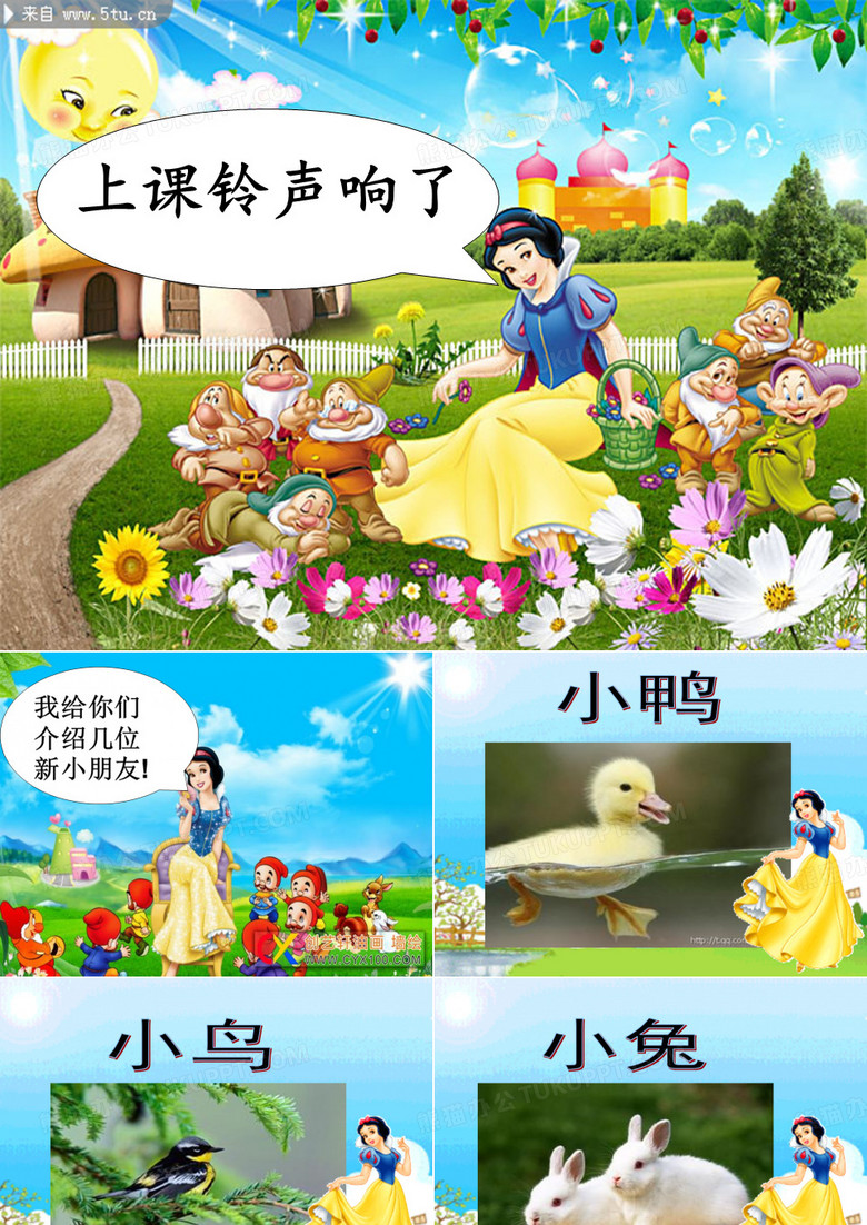 小鸭找朋友