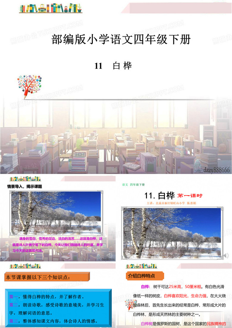 《白桦》课件