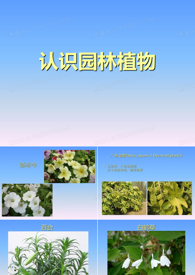 认识园林植物