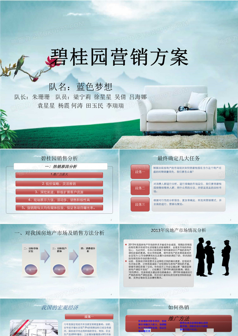 碧桂园营销方案