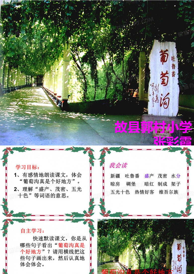 《葡萄沟》课件