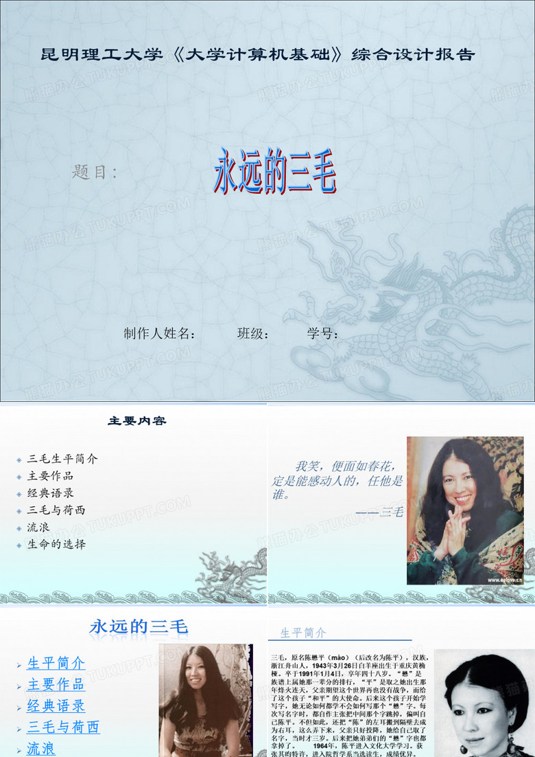 三毛_ppt