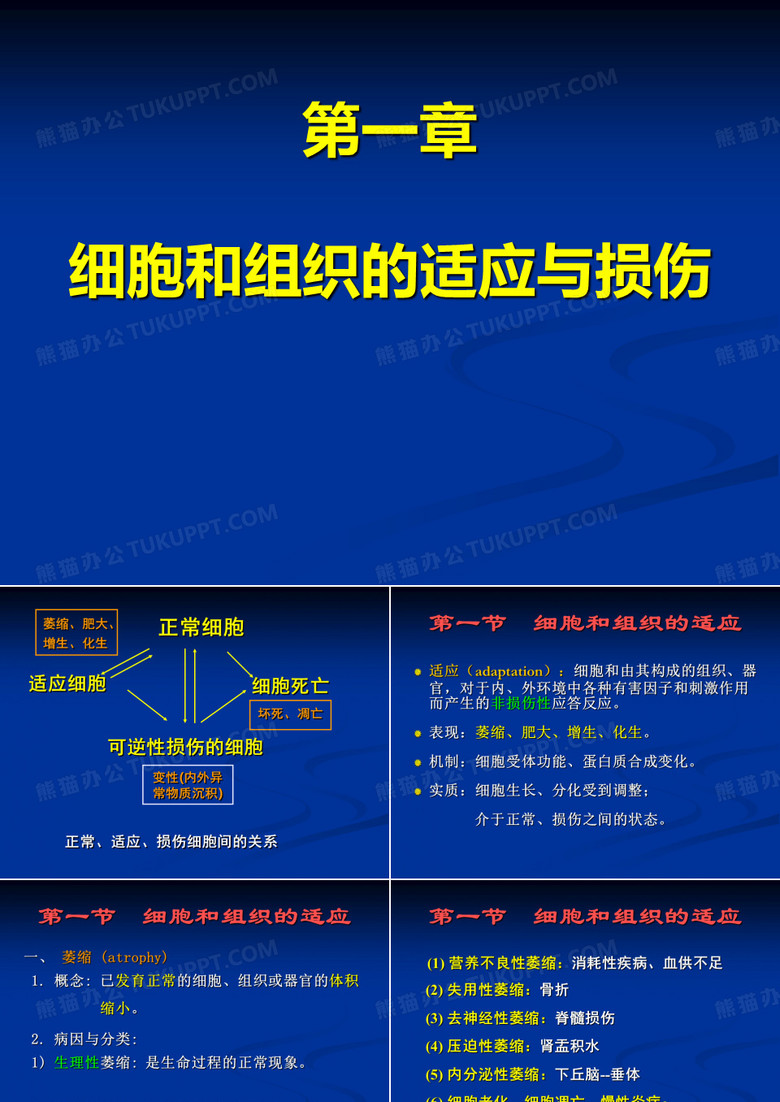 病理学