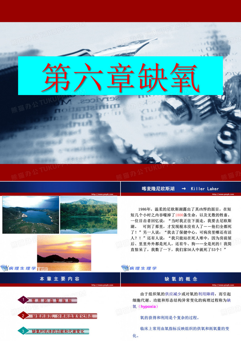 病理学 缺氧