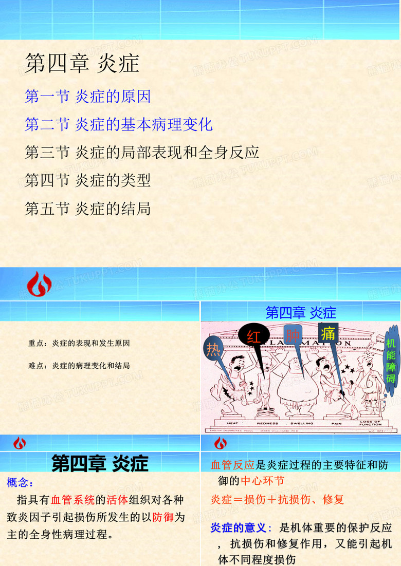 病理学：炎症