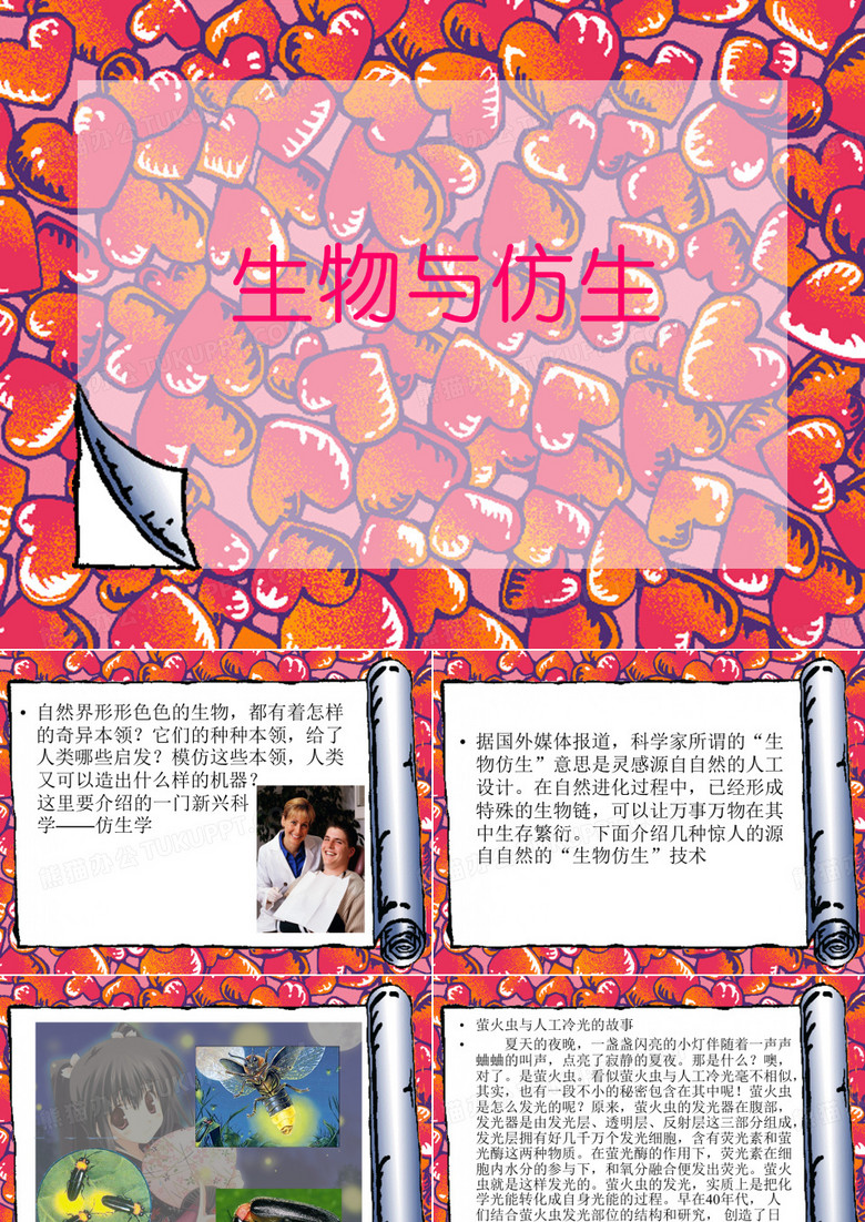 生物与仿生