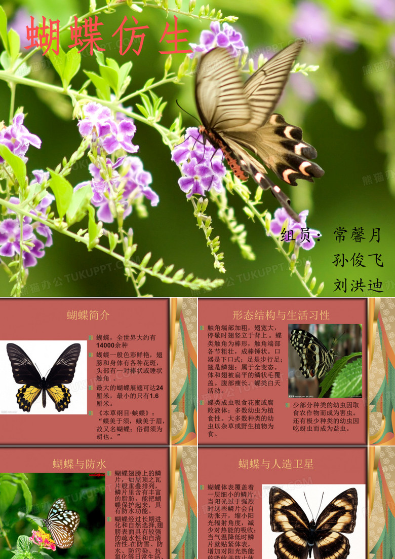 蝴蝶仿生