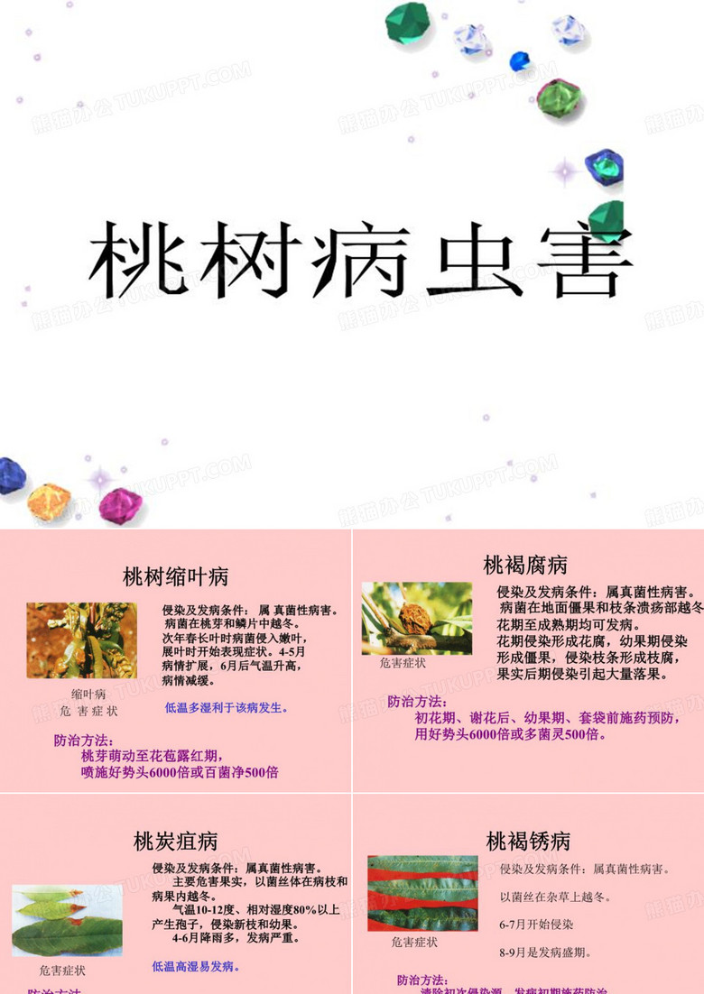 桃树病虫害