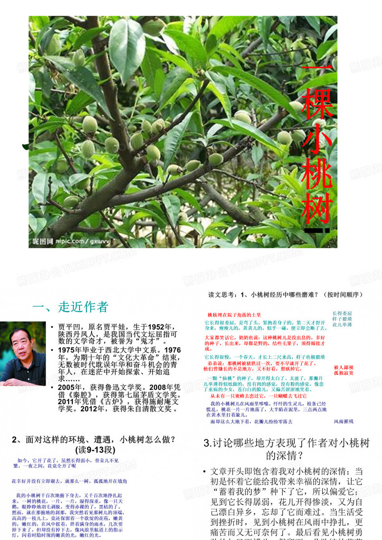 桃树PPT