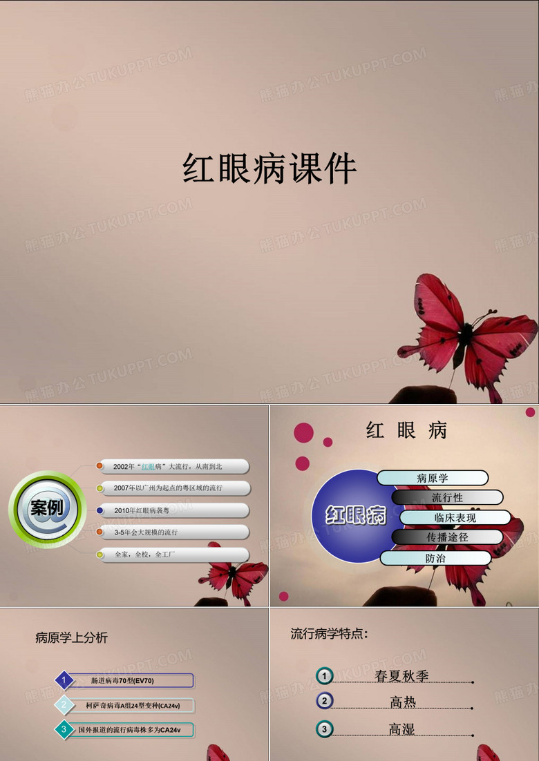 红眼病ppt课件