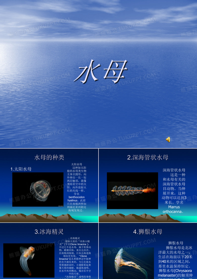 水母