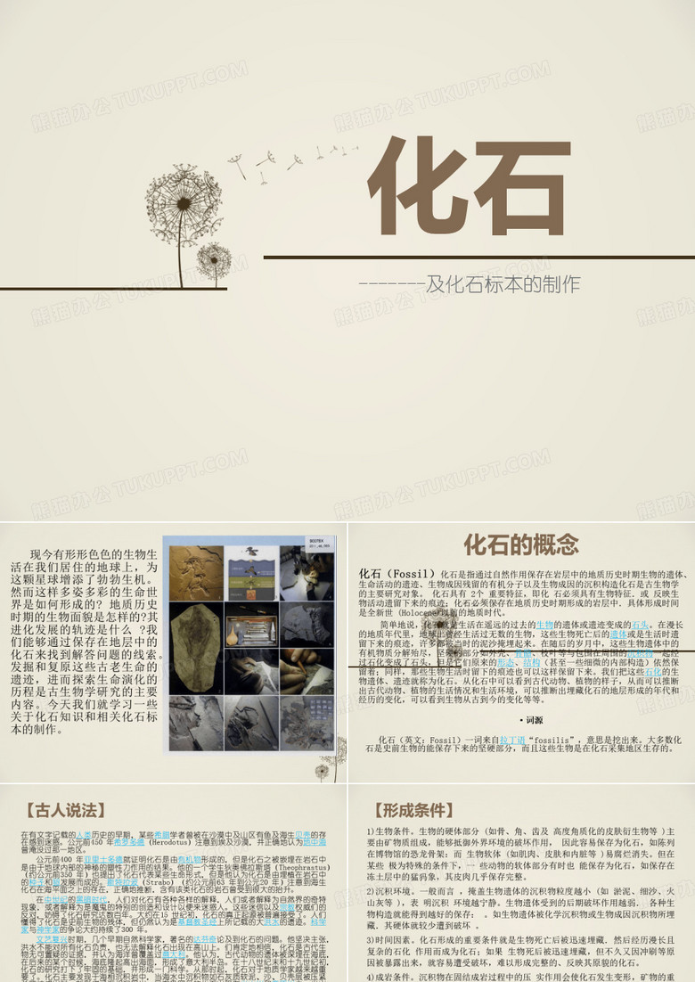 化石