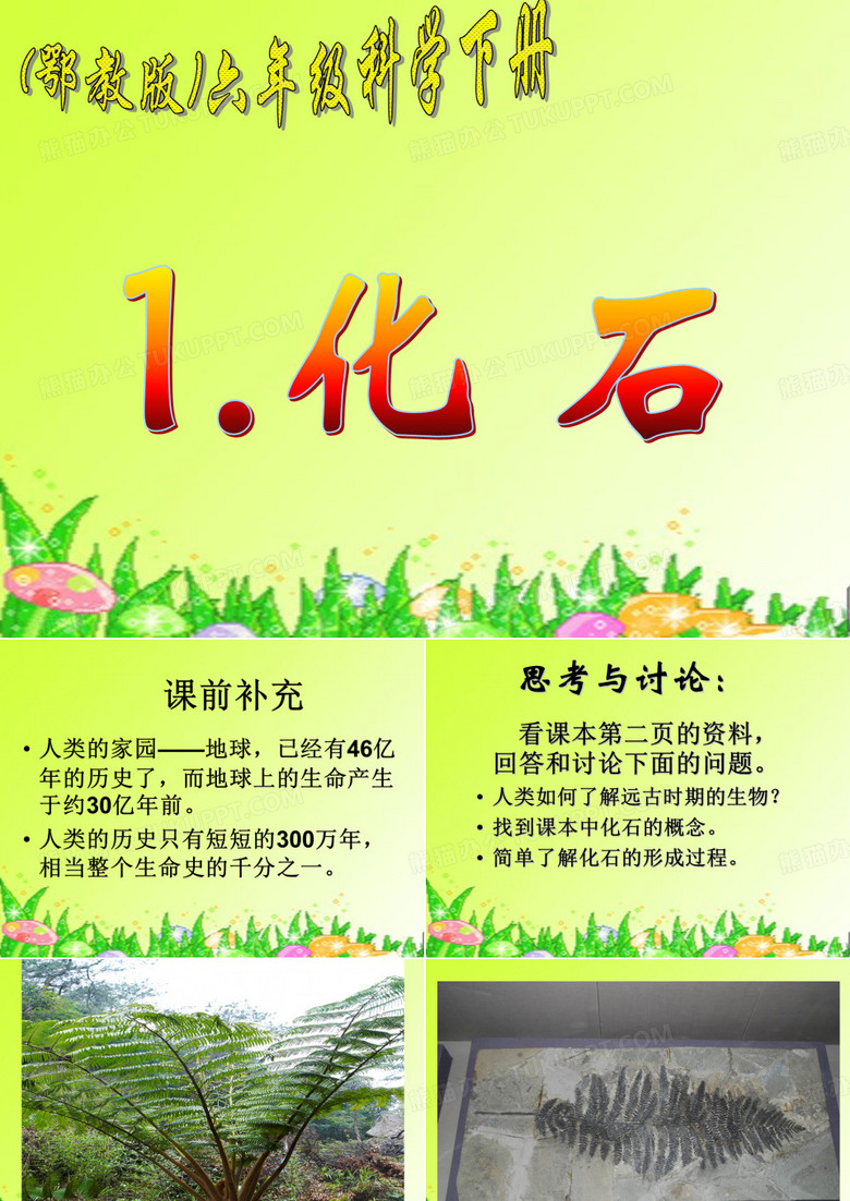 化石