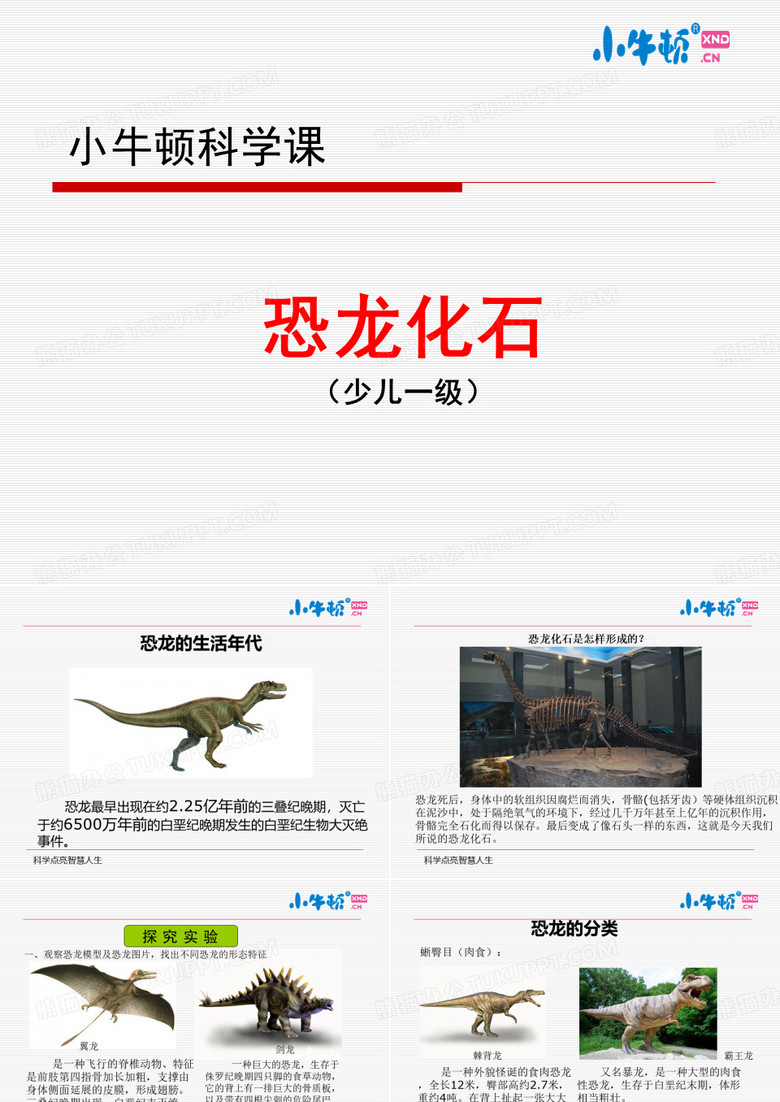 恐龙化石