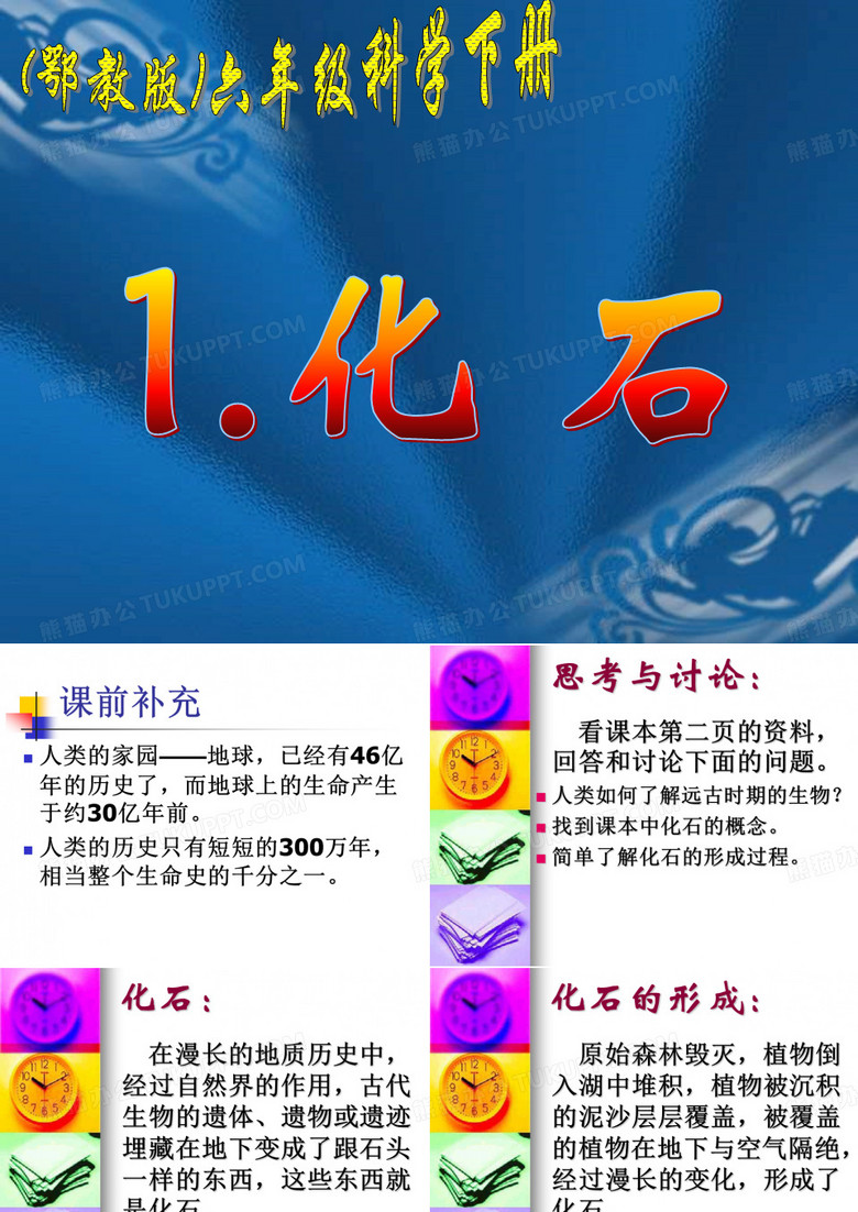 化石 课件