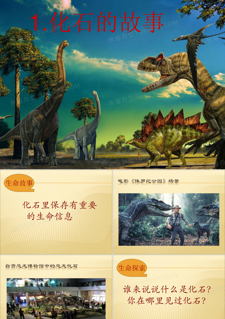 化石的故事