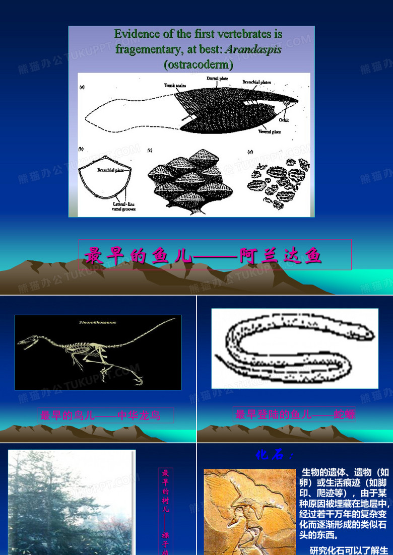 《化石吟》
