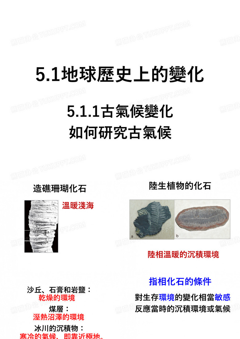 标准化石和指相化石