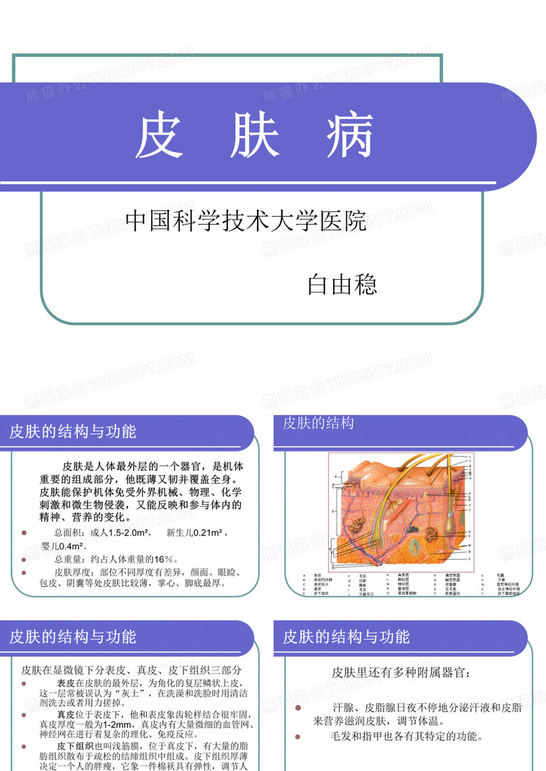 皮肤病