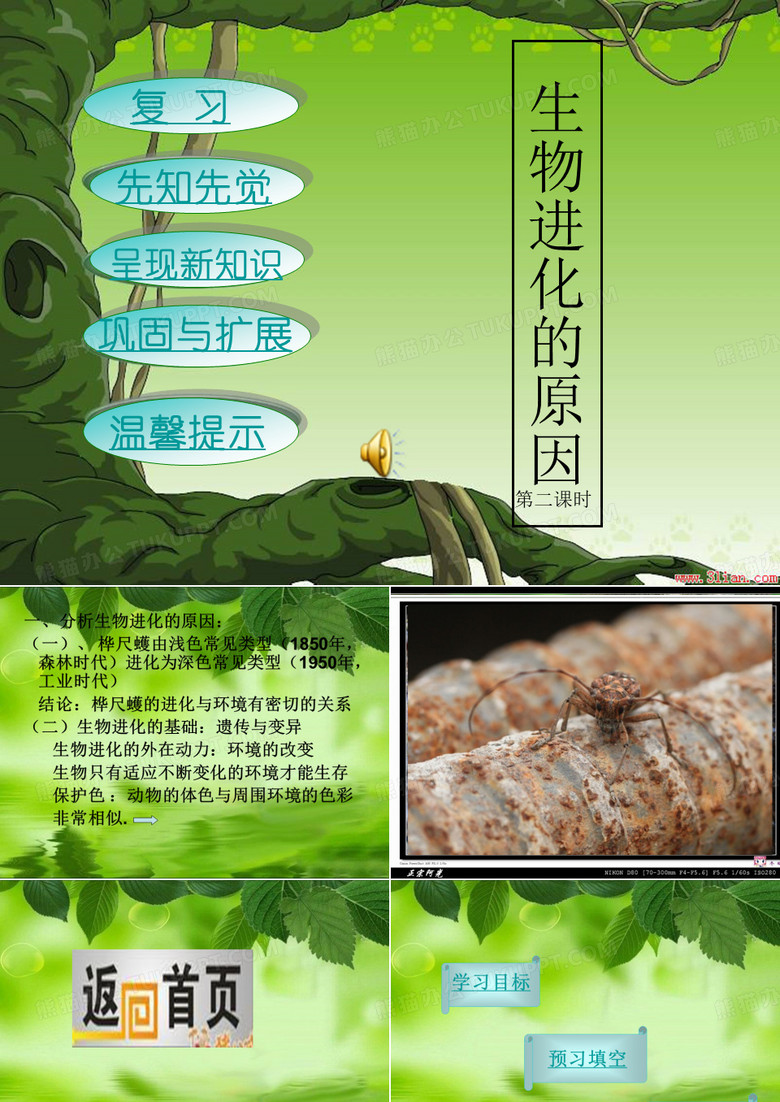 生物进化