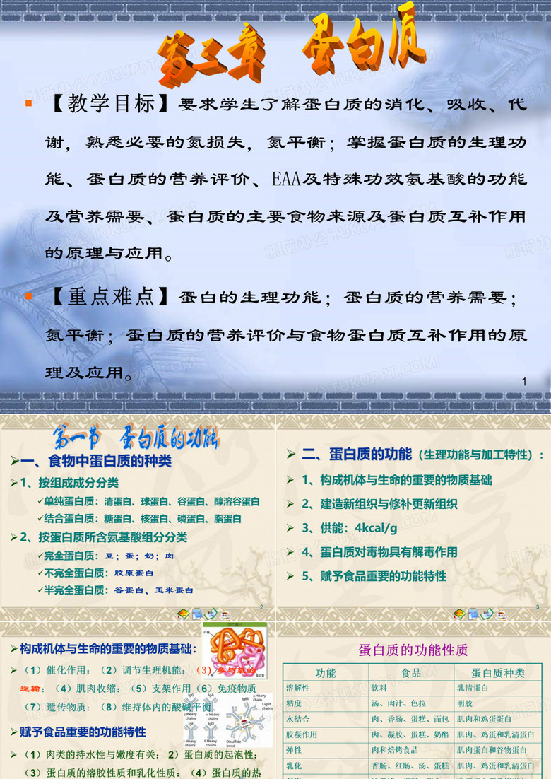 营养师 蛋白质