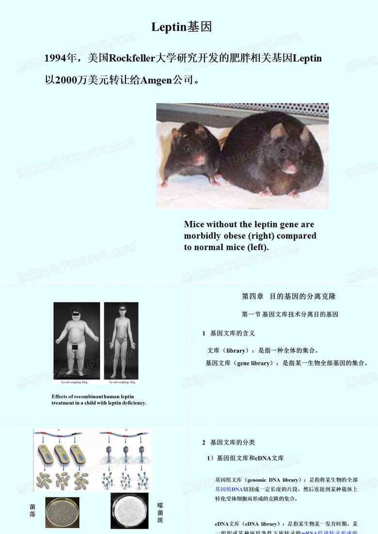 基因文库技术