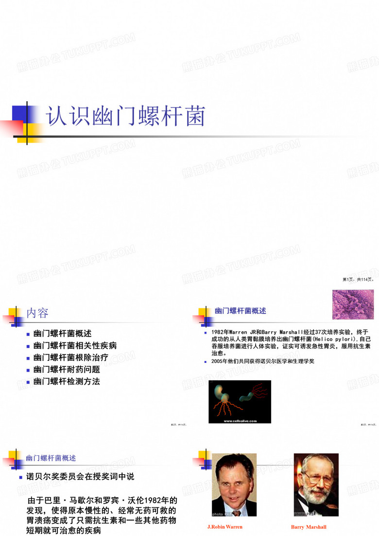 认识幽门螺杆菌