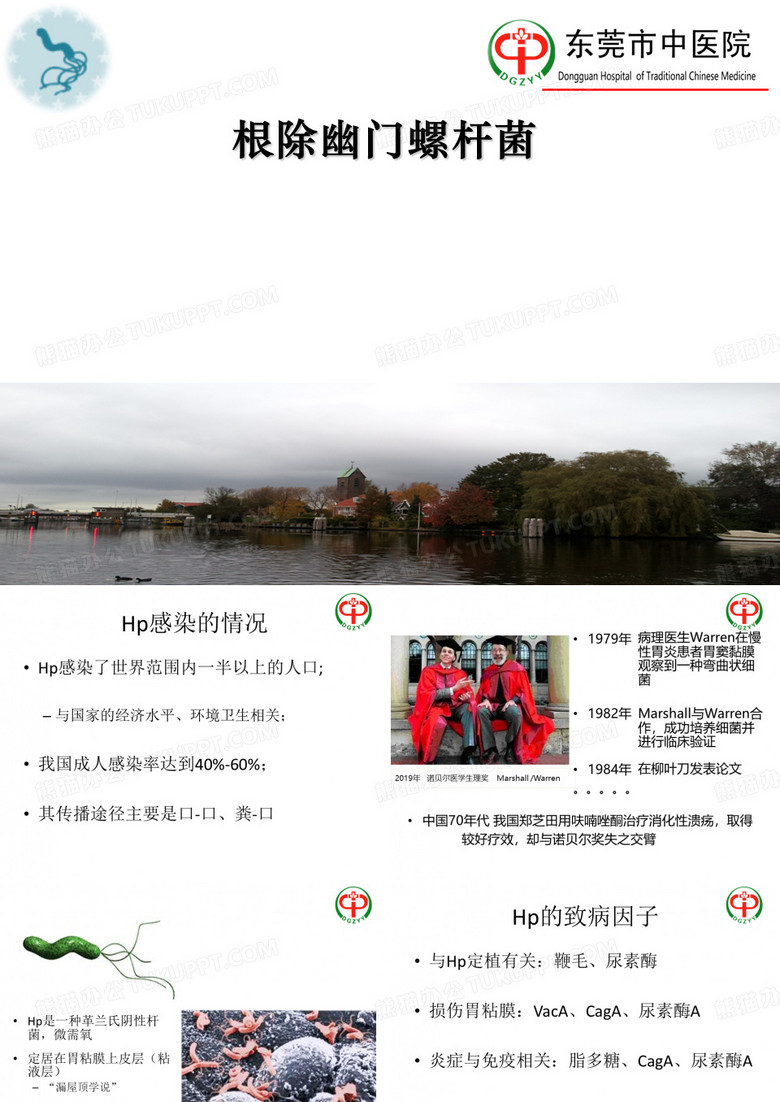 根除幽门螺杆菌