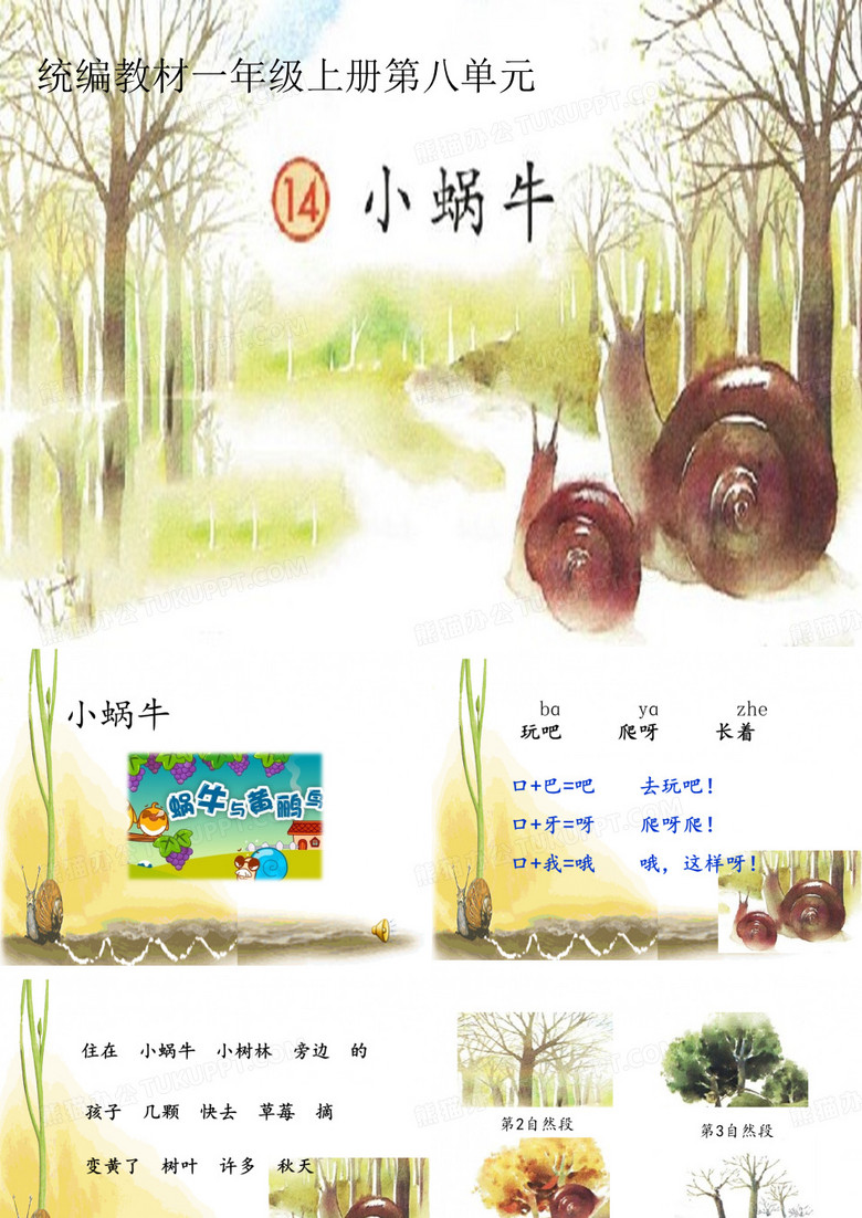 小蜗牛