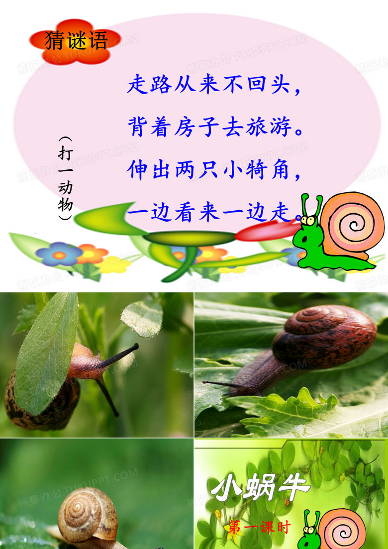 小蜗牛