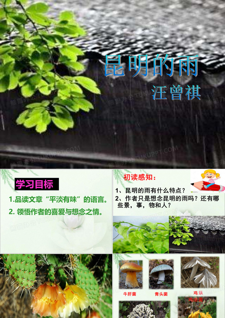 昆明的雨