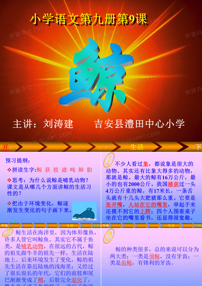 鲸,介绍_鲸”的特征及生活习性