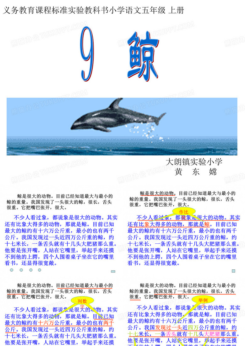 《鲸》课件