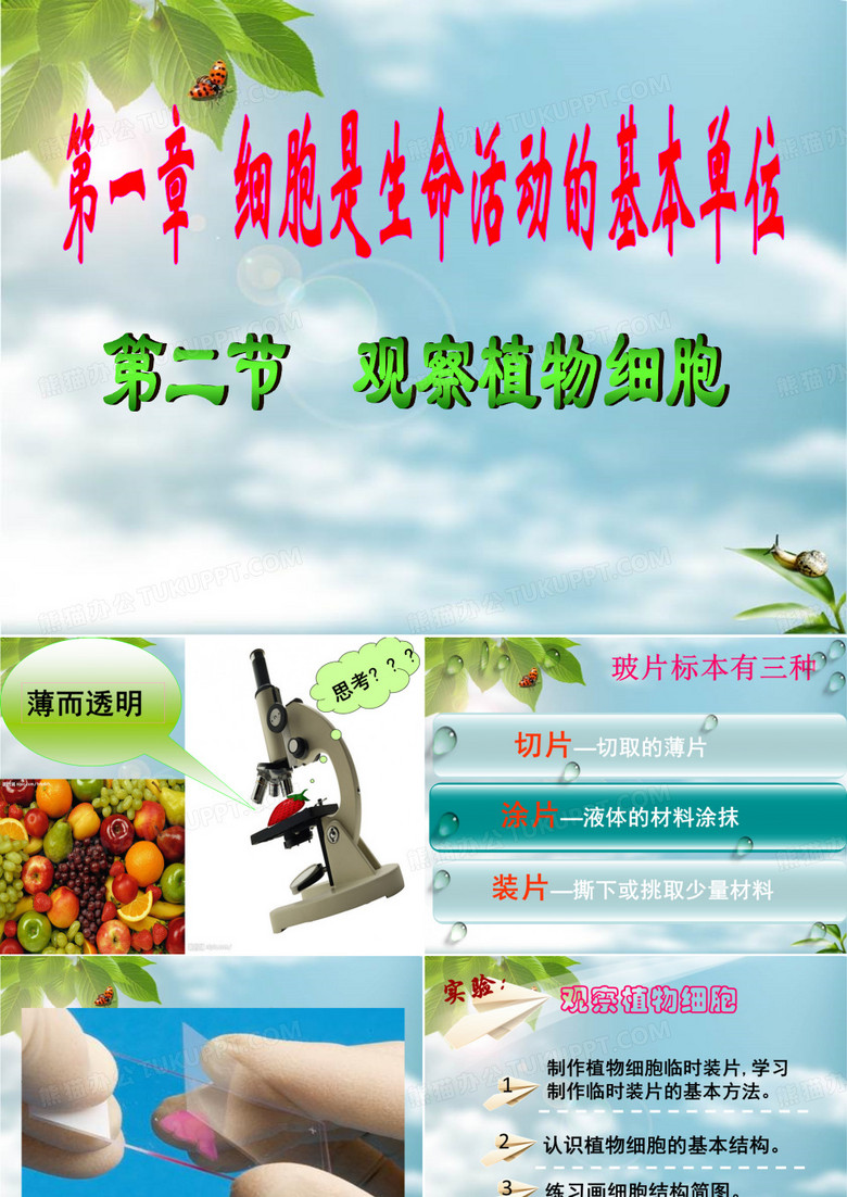 植物细胞