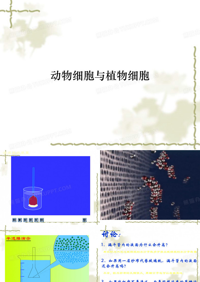 动物细胞与植物细胞
