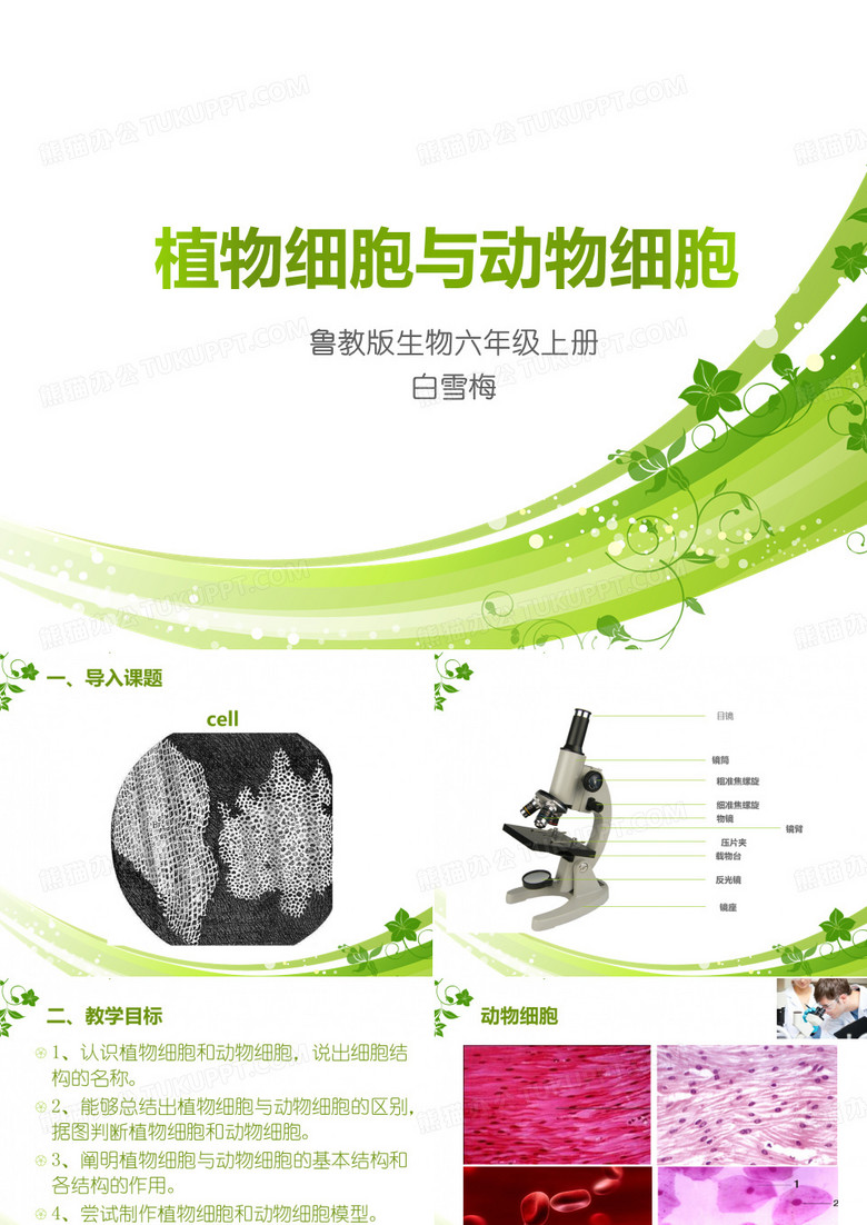 植物细胞与动物细胞