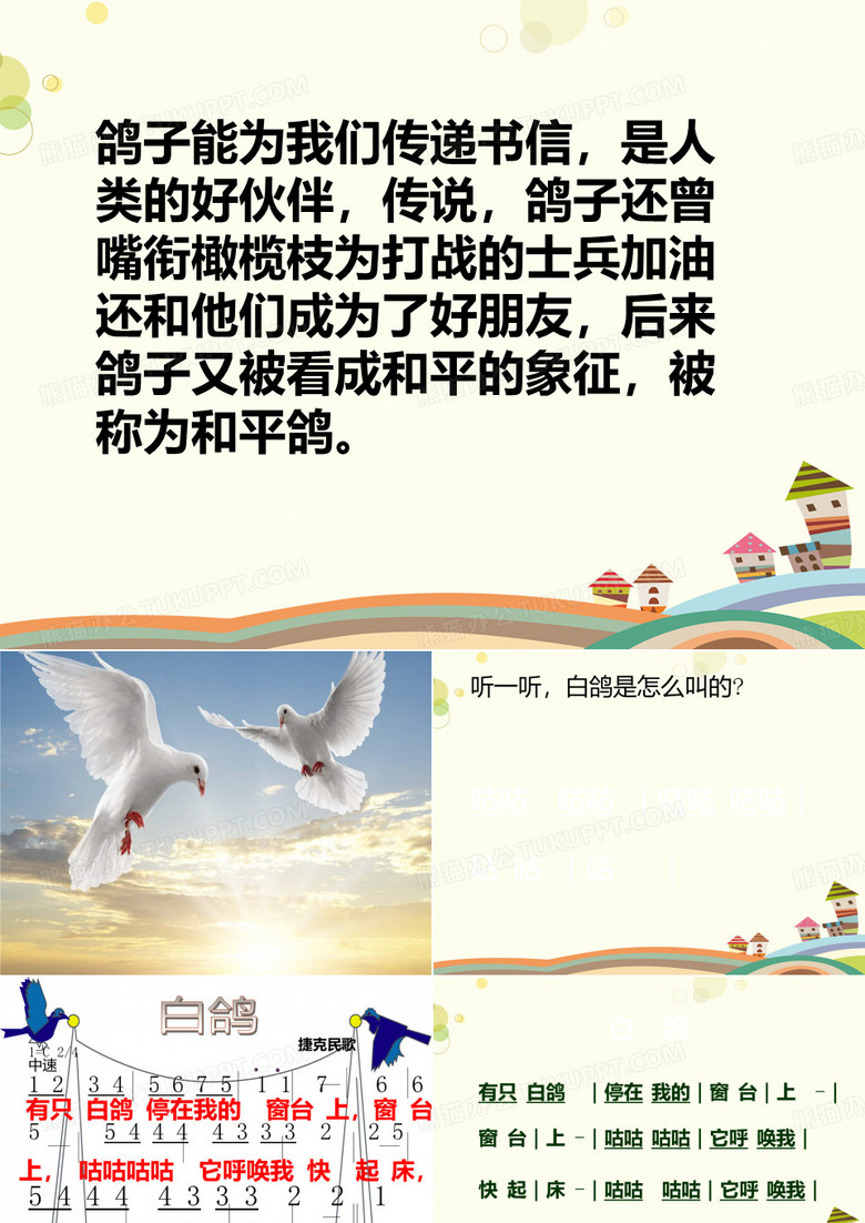 【教学】《白鸽》 完整版课件