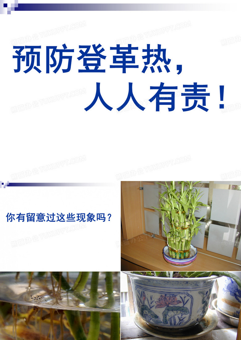 预防登革热知识讲座