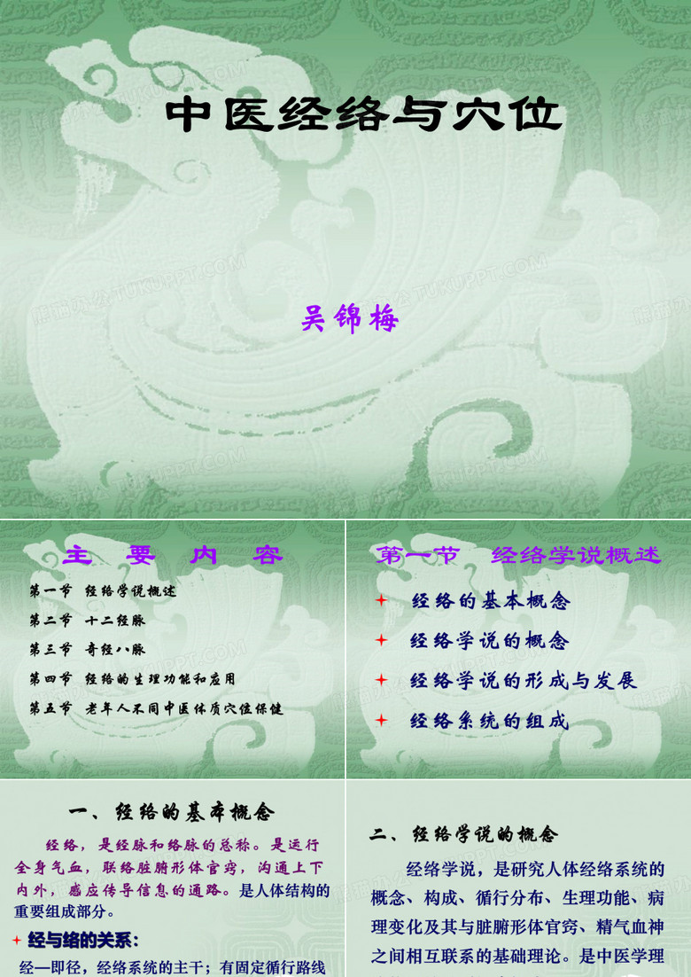 中医经络与穴位
