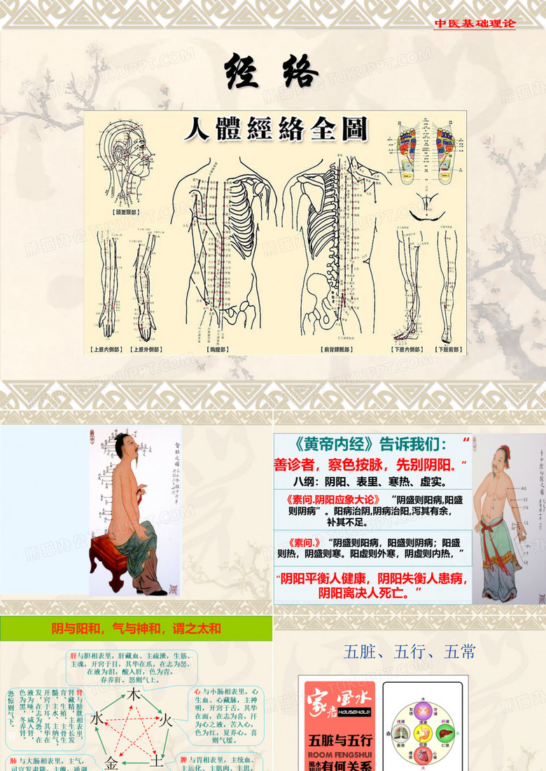 中医经络ppt