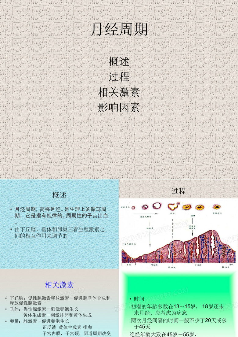 月经周期