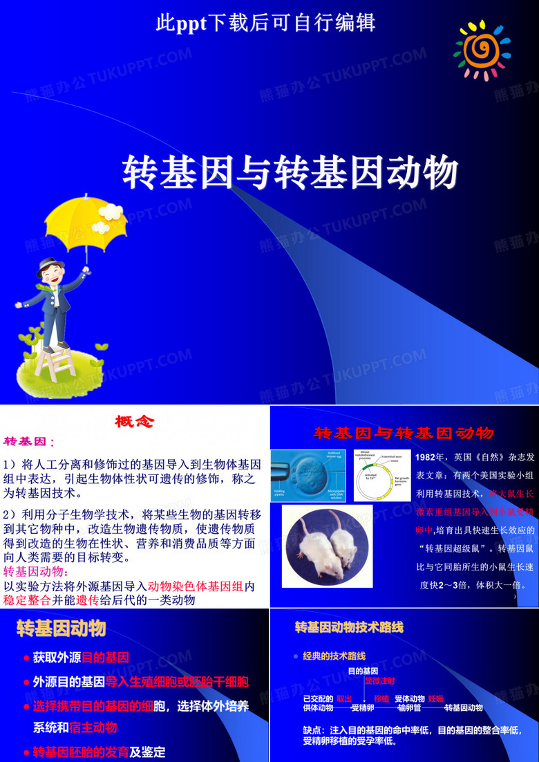转基因与转基因动物ppt课件