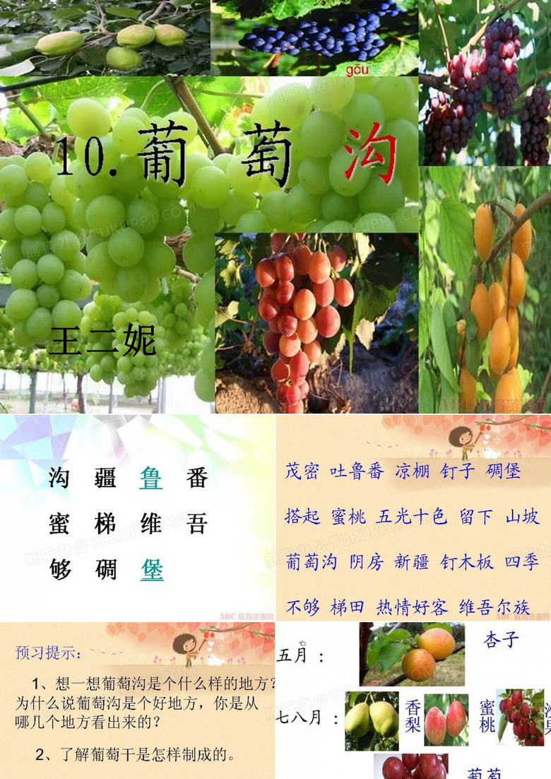 葡萄沟