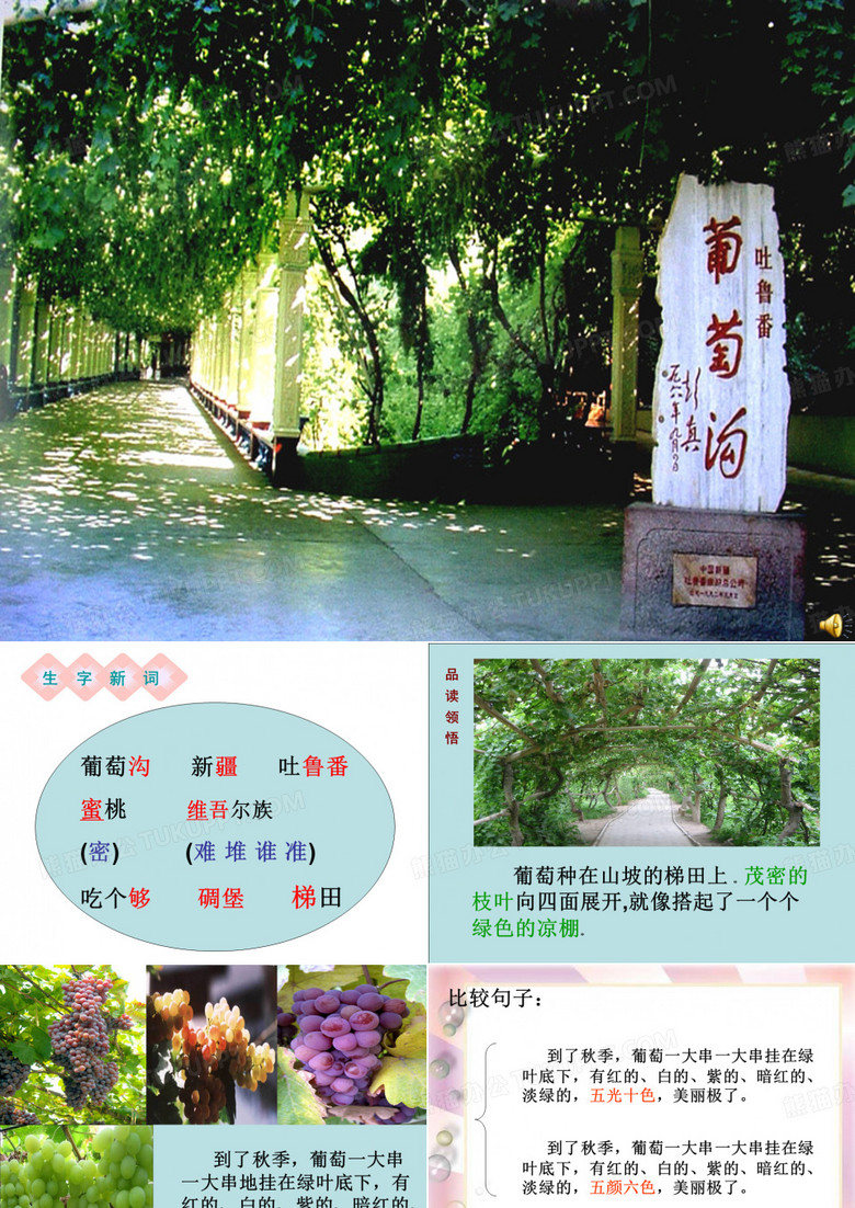葡萄沟
