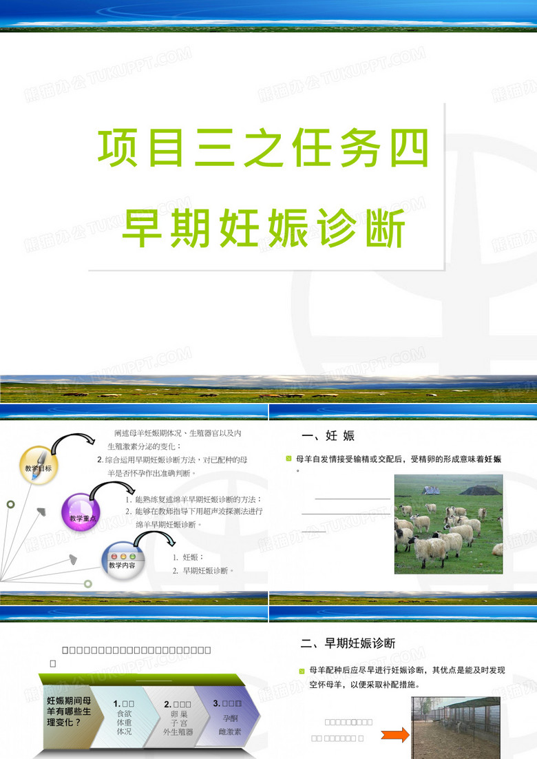 羊的早期妊娠诊断2