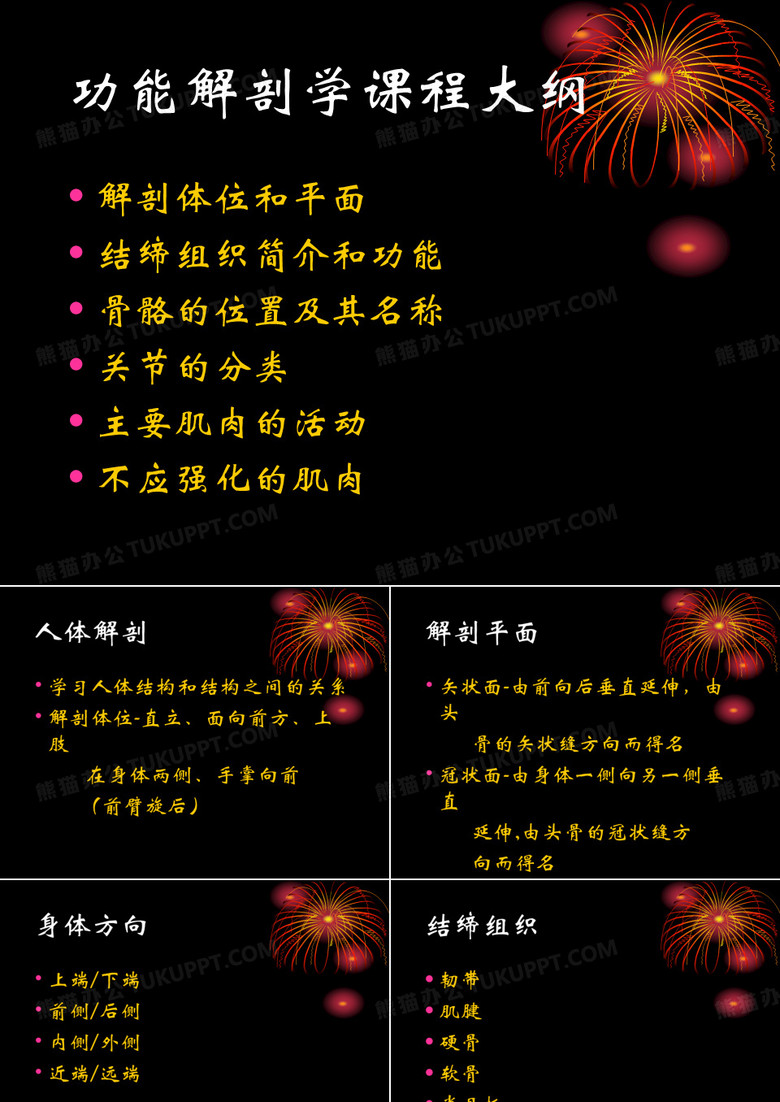 人体基础解剖