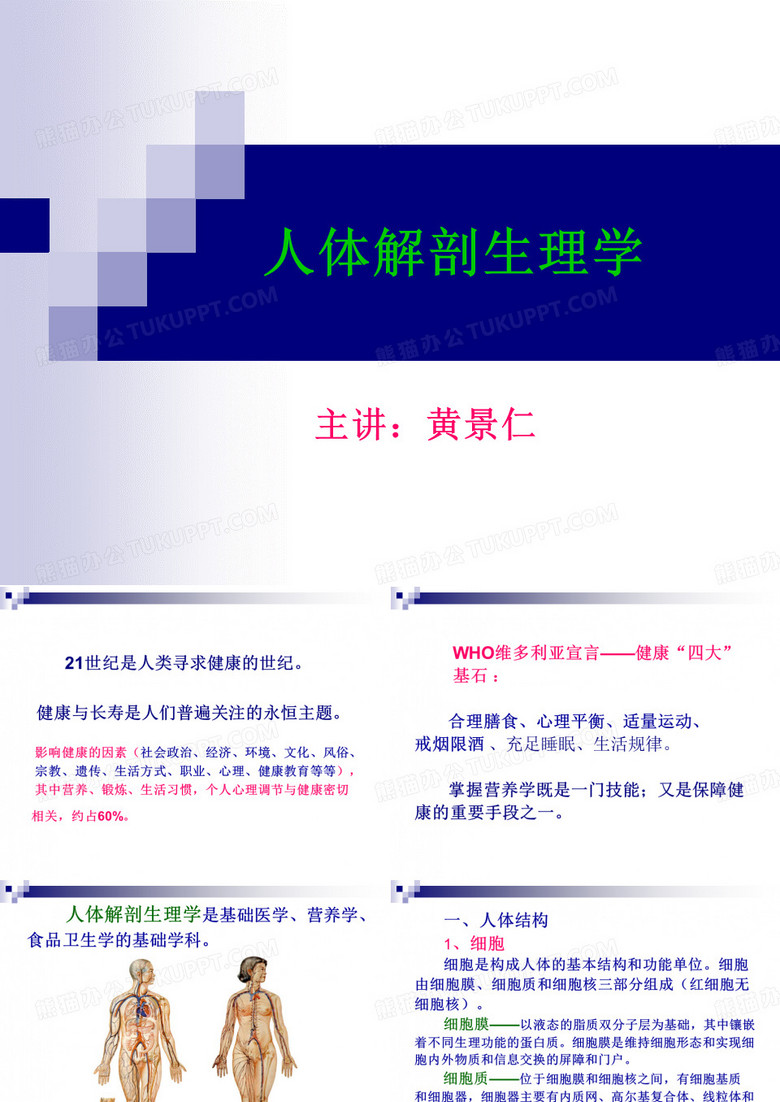 人体解剖生理学
